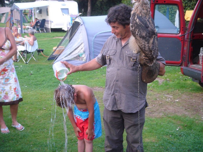 dc-2008-0189 tim, roofvogelshow (30-07-2008)